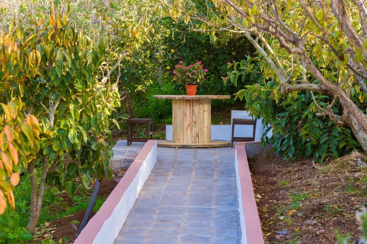 Casa Cueva Villa Aday Santa Maria de Guia de Gran Canaria Eksteriør billede