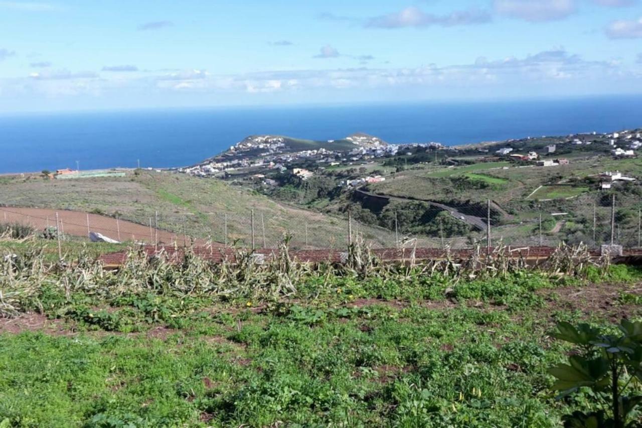 Casa Cueva Villa Aday Santa Maria de Guia de Gran Canaria Eksteriør billede