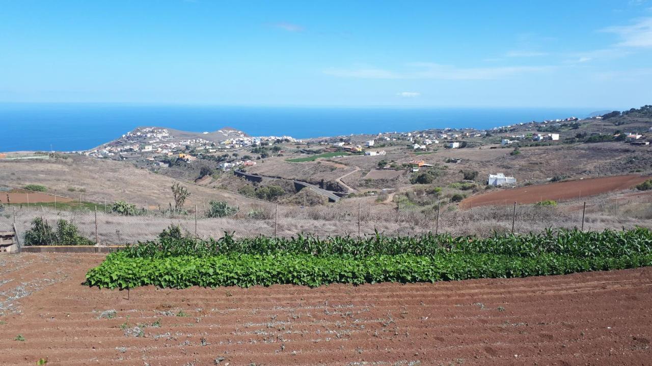 Casa Cueva Villa Aday Santa Maria de Guia de Gran Canaria Eksteriør billede