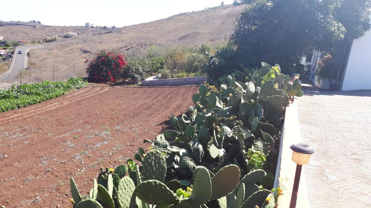 Casa Cueva Villa Aday Santa Maria de Guia de Gran Canaria Eksteriør billede